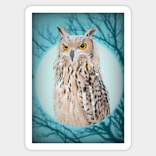 The Owl Sticker